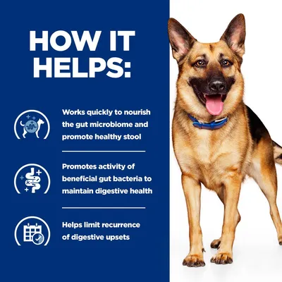 How it helps: nourishes gut microbiome, promotes healthy stool, supports beneficial gut bacteria for digestive health, helps limit recurrence of digestive upsets. Text in English.