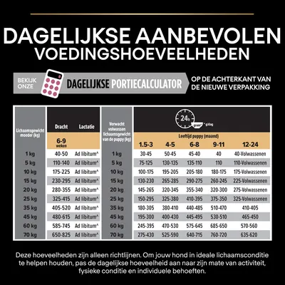 Tabel dagelijkse aanbevolen voedingshoeveelheden voor honden, met richtlijnen per lichaamsgewicht en leeftijd. Inclusief kolommen voor dracht, lactatie en puppy’s van 1,5 tot 24 maanden.