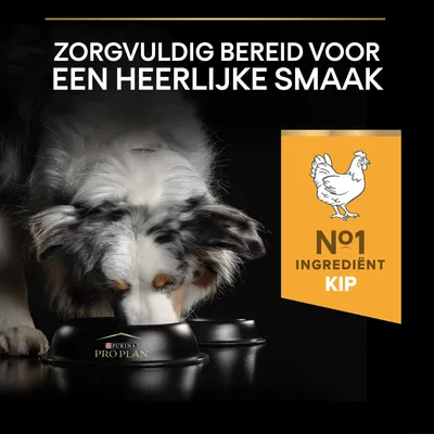 Purina Pro Plan hondenvoer, tekst: 'Zorgvuldig bereid voor een heerlijke smaak'. Badge: 'Nr 1 ingrediënt kip' met afbeelding van een kip. Hond eet uit zwarte voerbak.
