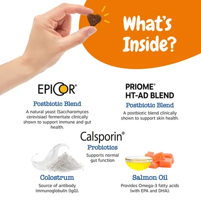 Text v angličtine: What's Inside? EPICOR Postbiotic Blend, PRIOME HT-AD BLEND Postbiotic Blend, Calsporin Probiotics, Colostrum, Salmon Oil. Popis zložiek a ich účinkov.