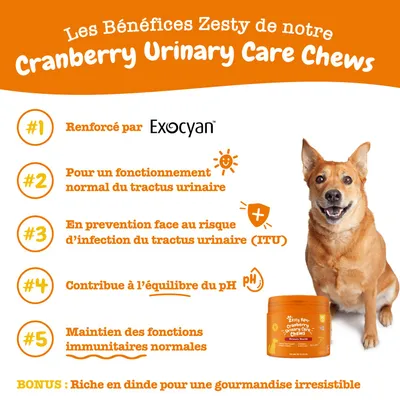 Zesty Cranberry Urinary Care Chews : soutient la fonction urinaire, les défenses immunitaires, l’équilibre du pH, Exocyan, bonus riche en dinde pour une grande appétence.