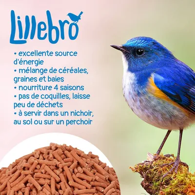 Lillebro : excellente source d’énergie, mélange de céréales, graines et baies, nourriture 4 saisons, pas de coquilles, à servir dans un nichoir, au sol ou sur un perchoir.