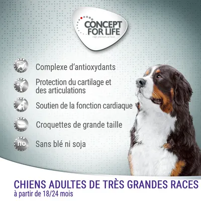Concept for Life. Chiens adultes de très grandes races à partir de 18/24 mois. Complexe d’antioxydants, protection du cartilage et des articulations, sans blé ni soja.