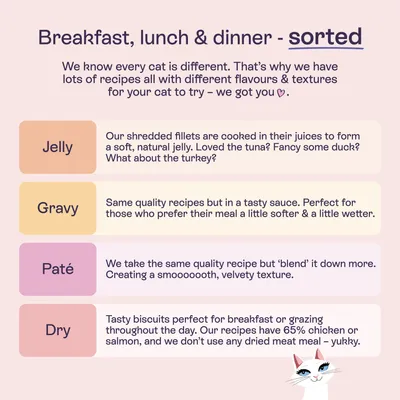 Four recipe types for cat food: Jelly, Gravy, Paté and Dry, with descriptions of the textures and ingredients such as chicken or salmon. Various flavours for cats.