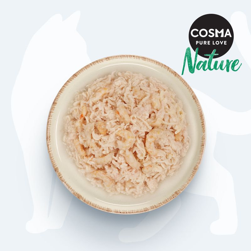 Sparpaket Cosma Nature 24 x 70 g