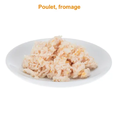 Assiette blanche contenant une portion de nourriture humide avec texte visible : Poulet, fromage.