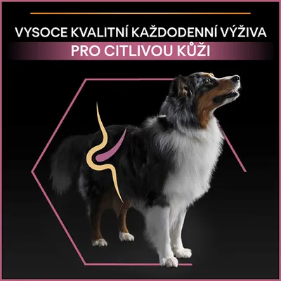 Text v češtine: VYSOCE KVALITNÍ KAŽDODENNÍ VÝŽIVA PRO CITLIVOU KŮŽI, obrázok psa s grafickým znázornením tráviaceho traktu.