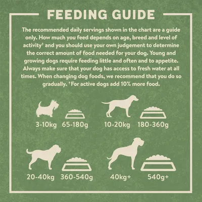 Feeding guide showing daily food amounts by dog weight: 3-10kg, 65-180g; 10-20kg, 180-360g; 20-40kg, 360-540g; over 40kg, 540g+. For active dogs add 10% more food.