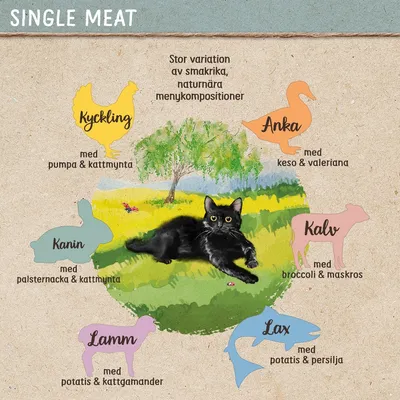 Single Meat. Stor variation av smakrika, naturnära menykompositioner: Kyckling med pumpa & kattmynta, Anka med keso & valeriana, Kanin med palsternacka & kattmynta, Kalv med broccoli & maskros, Lamm med potatis & kattgamander, Lax med potatis & persilja.