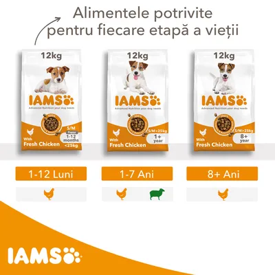 Trei saci de hrană pentru câini IAMS 12 kg cu pui, pentru vârstele 1–12 luni, 1–7 ani și 8+ ani. Text: Alimentele potrivite pentru fiecare etapă a vieții.
