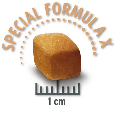 Lähikuva ruskeasta ruokapalasta, jossa teksti 'Special Formula X' ja mitta 1 cm.