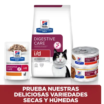 Hill's Prescription Diet Digestive Care i/d para gatos, variedad de comida seca y húmeda en bolsa, sobres y latas. Texto: Prueba nuestras deliciosas variedades secas y húmedas.