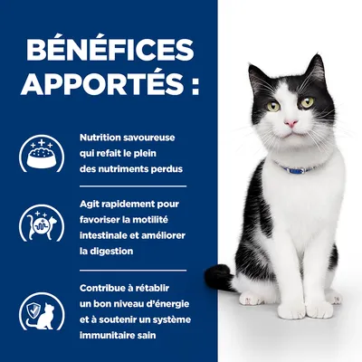 BÉNÉFICES APPORTÉS : Nutrition savoureuse, agit rapidement pour la motilité intestinale et digestion, contribue à l’énergie et au système immunitaire sain. Texte en fr_BE.