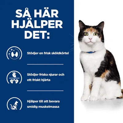 Så här hjälper det: Stödjer en frisk sköldkörtel, stödjer friska njurar och ett friskt hjärta, hjälper till att bevara smidig muskelmassa. Bild på katt.