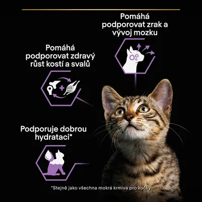 Text: Pomáhá podporovat zrak a vývoj mozku, Pomáhá podporovat zdravý růst kostí a svalů, Podporuje dobrou hydrataci. Obrázek kočky pod textem.