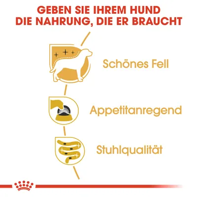 Grafik mit Text: 'Geben Sie Ihrem Hund die Nahrung, die er braucht'. Vorteile: Schönes Fell, Appetitanregend, Stuhlqualität. Mit Symbolen für Hund, Futterschale und Verdauung.