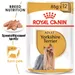 Royal Canin Yorkshire Terrier Adult Mousse
