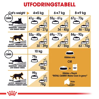 Royal Canin Maine Coon Adult