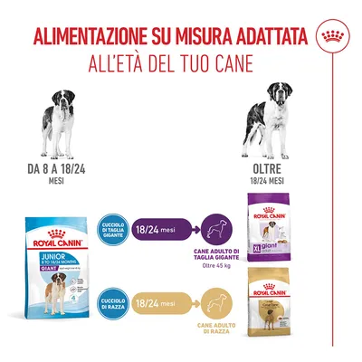 Royal Canin Giant Junior Crocchette per cane