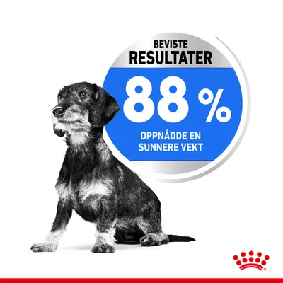 Royal Canin Mini Light Weight Care