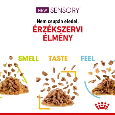 NEW SENSORY. Nem csupán eledel, ÉRZÉKSZERVI ÉLMÉNY. SMELL, TASTE, FEEL feliratok három adag állateledel felett. Royal Canin logó.