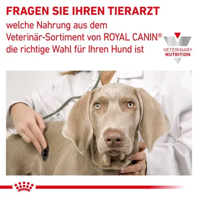 FRAGEN SIE IHREN TIERARZT welche Nahrung aus dem Veterinär-Sortiment von ROYAL CANIN die richtige Wahl für Ihren Hund ist. VETERINARY NUTRITION (текст на немецком языке)
