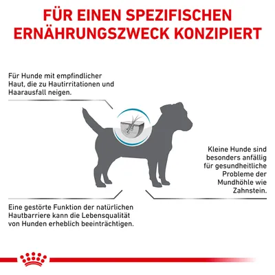 Für Hunde mit empfindlicher Haut, die zu Irritationen und Haarausfall neigen. Kleine Hunde sind anfällig für Mundhöhlenprobleme wie Zahnstein. Gestörte Hautbarriere beeinträchtigt Lebensqualität.