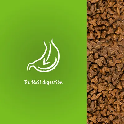 Texto: De fácil digestión, con dibujo de estómago y flecha. Fondo verde junto a croquetas marrones de pienso.