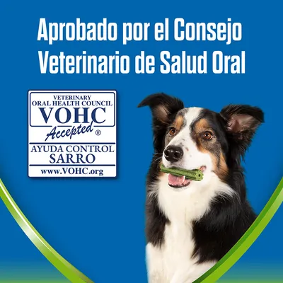Aprobado por el Consejo Veterinario de Salud Oral. Sello VOHC Accepted, ayuda control sarro, www.VOHC.org. Perro con snack verde en la boca sobre fondo azul.