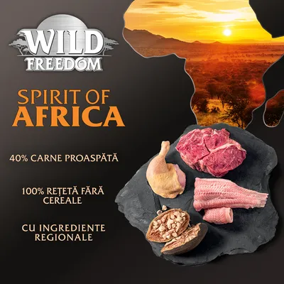 Wild Freedom Spirit of Africa. 40% carne proaspătă, 100% rețetă fără cereale, cu ingrediente regionale. Imagine cu carne crudă, pește, pasăre și nuci pe o placă de piatră.