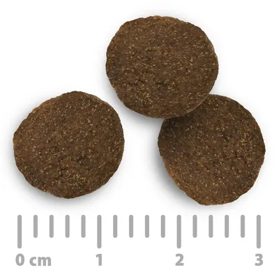 Trzy okrągłe, brązowe kawałki karmy, średnica ok. 2,5 cm, z podziałką od 0 do 3 cm dla zobrazowania rozmiaru.