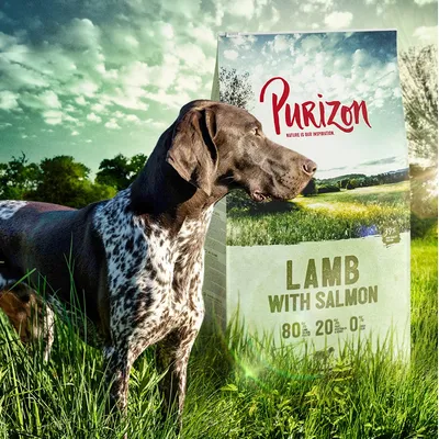 Cane accanto a confezione di Purizon Lamb with Salmon, testo visibile: 80% 20% 0%, 39% proteine. Sfondo prato verde e cielo nuvoloso.