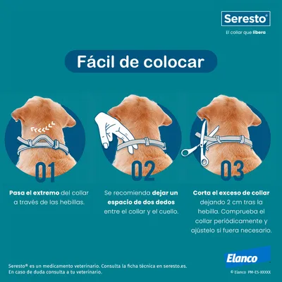 Instrucciones Seresto: 1. Pasa el extremo del collar por las hebillas. 2. Deja un espacio de dos dedos entre collar y cuello. 3. Corta el exceso dejando 2 cm tras la hebilla.