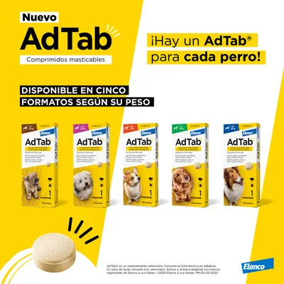 AdTab comprimidos masticables para perros, disponible en cinco formatos según peso. Imagen de cajas AdTab Elanco con diferentes razas y un comprimido redondo. Texto: ¡Hay un AdTab para cada perro!