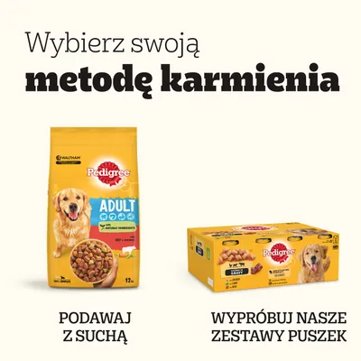 Pakiet mieszany Pedigree, saszetki, 24 x 100 g