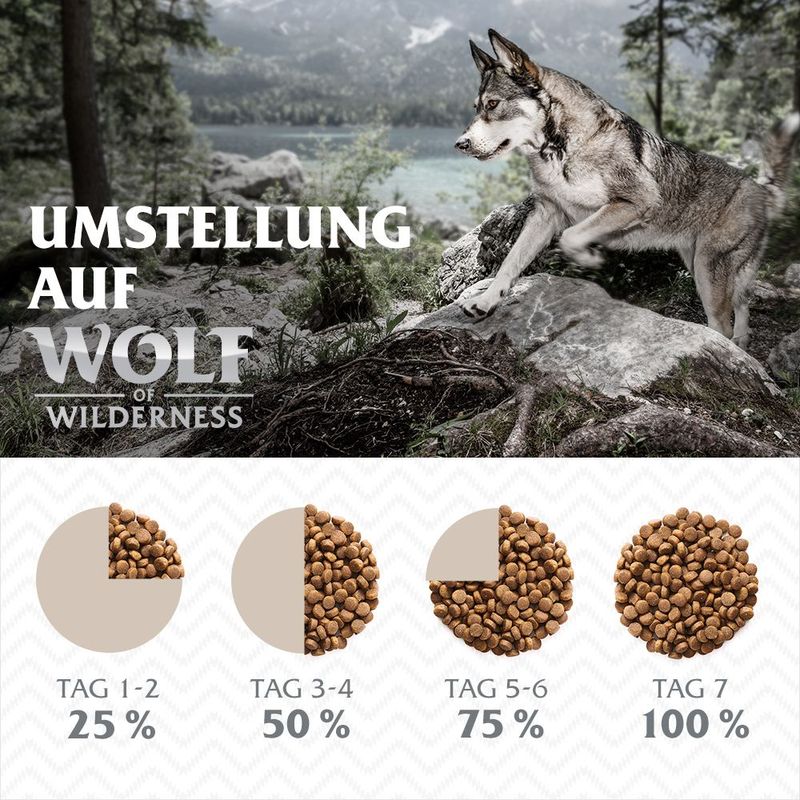 Wolf of Wilderness Junior - "Blue River" - Lachs