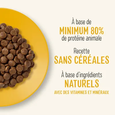À base de minimum 80 % de protéine animale, recette sans céréales, à base d’ingrédients naturels avec des vitamines et minéraux. Croquettes rondes visibles sur une assiette jaune.