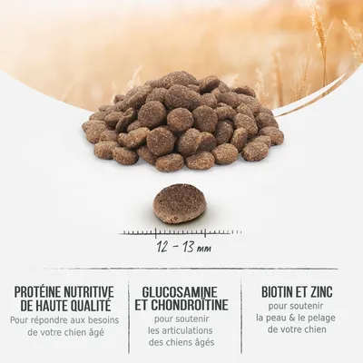 Croquettes rondes, diamètre 12–13 mm. Texte visible : protéine nutritive de haute qualité, glucosamine et chondroïtine, biotine et zinc pour chiens âgés.
