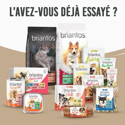 Gamme de produits pour chiens briantos : croquettes, pâtées, friandises et snacks. Texte en haut : L'AVEZ-VOUS DÉJÀ ESSAYÉ ? Marques et noms visibles sur chaque emballage.