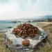 Purizon Kitten Saumon avec poulet - sans céréales
