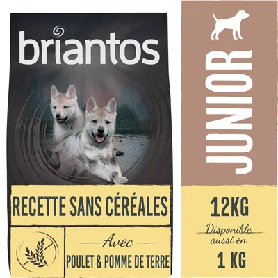 briantos RECETTE SANS CÉRÉALES avec POULET & POMME DE TERRE, JUNIOR, 12KG, Disponible aussi en 1 KG. Image de deux chiens sur l’emballage.