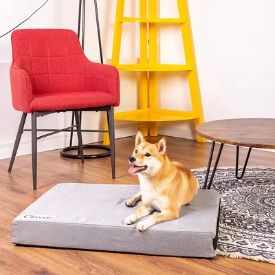 Graues Hundebett mit der Aufschrift 'Classic', platziert in einem Wohnzimmer mit rotem Stuhl, gelbem Regal und Holztisch.