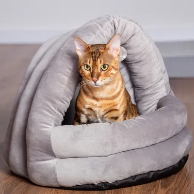 Graues, weiches Haustierbett in Spiralform mit einer Katze darin. Geeignet als gemütlicher Rückzugsort für Haustiere.
