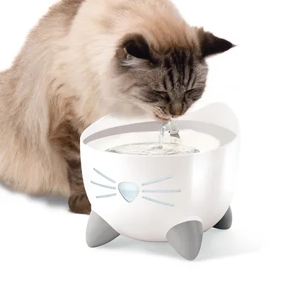 Trinkbrunnen in Katzenform mit fliessendem Wasser, Katze trinkt daraus.
