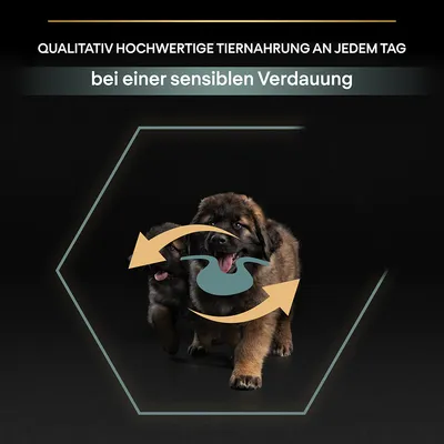 Qualitativ hochwertige Tiernahrung an jedem Tag, bei einer sensiblen Verdauung. Zwei Welpen mit Verdauungssymbol im Fokus.
