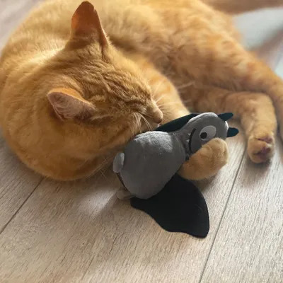 Rote Katze spielt mit einem grauen Stoffspielzeug in Vogel-Form auf einem Holzboden.