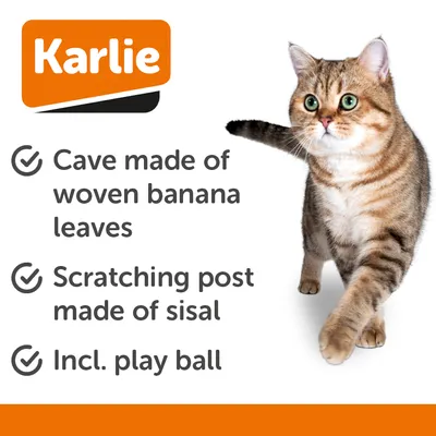 Karlie  škrabadlo Banana-Leaf Little Hole, béžové