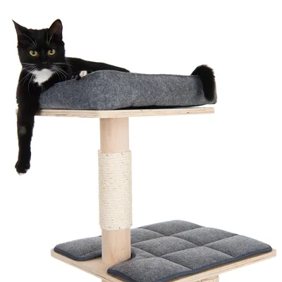 Kratzbaum mit zwei gepolsterten Liegeflächen in Grau, Holzsäule mit Sisal umwickelt. Schwarze Katze liegt auf der oberen Plattform.