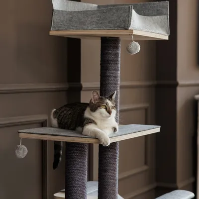 Kratzbaum mit drei Ebenen, grauem Stoff und Spielbällen. Katze liegt entspannt auf der mittleren Ebene.