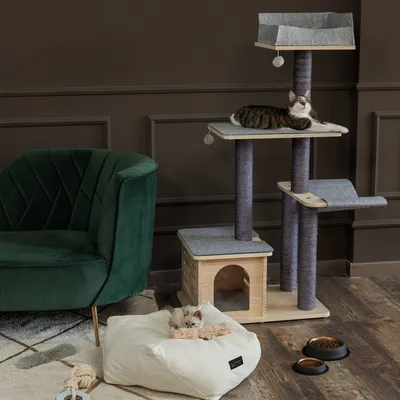 Kratzbaum mit mehreren Ebenen, Höhle aus Holz, Liegeflächen mit grauem Stoff. Katze auf oberer Ebene und Kissen mit kleiner Katze daneben. Futternäpfe und Spielzeug sichtbar.